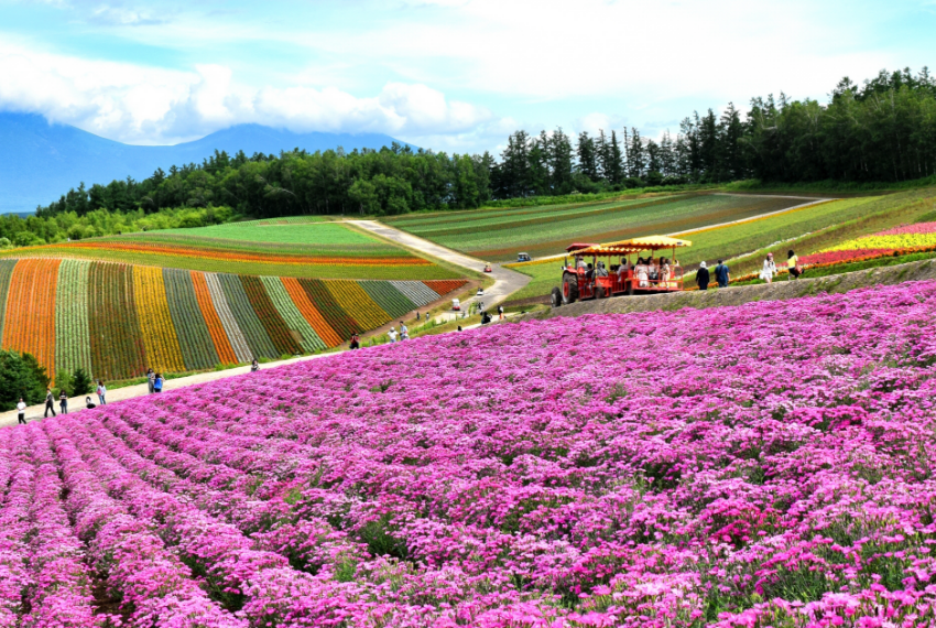 休日の過ごし方や趣味は？